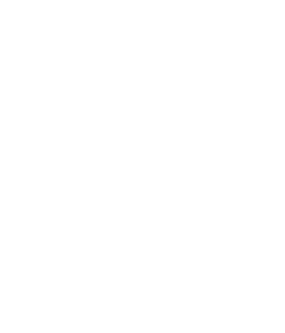 Dream Direction